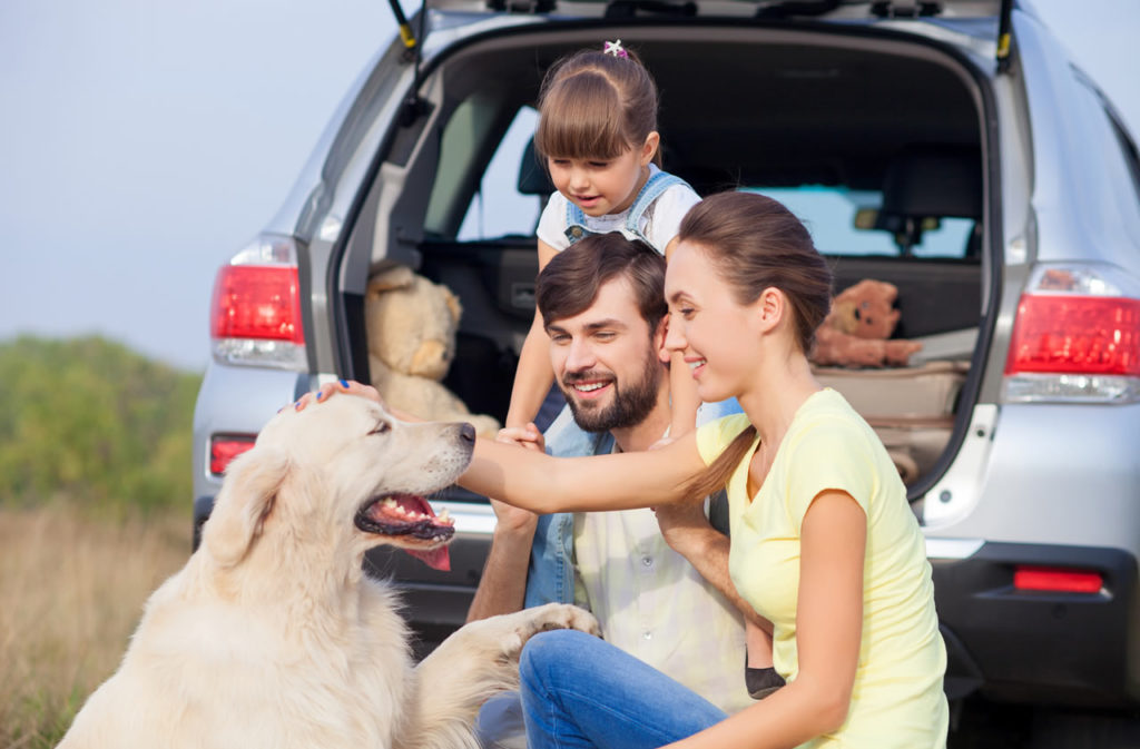 Sixt se transforma en el primer rent-a-car pet friendly de Chile